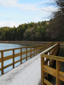 古墳公園大池